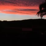 Leonard Mead - @l.meaead - Instagram
