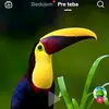 Leonard  Molnar - @oliver.mullerova - TikTok