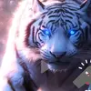 😼😈Leonard Molnar - @leonard.molnar5 - TikTok