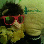 Leonard the monkey - @leonardmonkey12 - Instagram