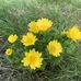 Leonard Moret - Facebook