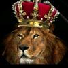 leonardmorina573 - @leonardmorina573 - TikTok