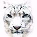 Leonard Murdock - Facebook
