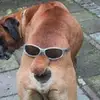 leonardnorton19 - @leonardnorton19 - TikTok