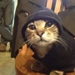 Leonardo León - @leonardog_leon - Instagram