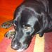 Leonard Olson - Facebook