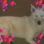 Leonard Olson - @oolsonl542 - Instagram