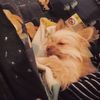 Leonard Niklas petersen - @leonard.petersen - TikTok