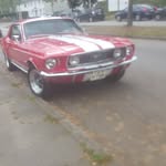 Leonard Petersen - @leonard.petersen.581 - Instagram
