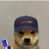 leonardo.da.phelpsi - @leonardo_da_phelpsi - TikTok