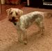 Len Platt - Facebook