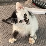 Leonard Poe - @leonardpoe23 - Instagram