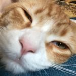 Leonard pöhl - @leonard_pohl - Instagram