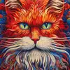 Jake helonde - @leonard.rees8 - TikTok