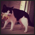 Leonard Reilly - @rpgaralli - Instagram