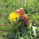 Leonard T. Rex - @leonardsaurusrex - Instagram