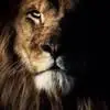 Leonard Rigsby - @leonard.rigsby - TikTok