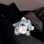 Leonard Royer - @royer.leonard - Instagram