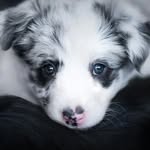 Leonard schulz - @x_leonard_235 - Instagram