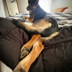 Leonardo Sears - @searsleonardo - Instagram