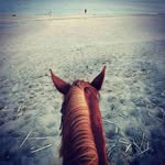 Leonard Stapleton - @stapleton_leonard - Instagram