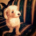 Leonard Stark - @stratoleox - Instagram