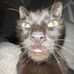 Leonard Stark - Facebook