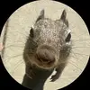 Miguel - @leonardstefan8 - TikTok