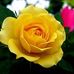 Leonard Sterling - Facebook