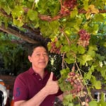 Leonard Tang - @leonardtang1 - Instagram