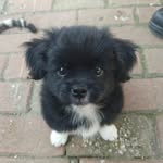LeonardTang0919 - @leonardtang2007 - Instagram