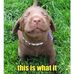 Leonard Tanner - Facebook