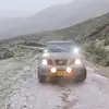 Leo - @leonardi.temple - TikTok