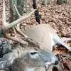 Leonard Thayer - @leonard.thayer - TikTok