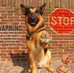 Leonard Thayer - Facebook