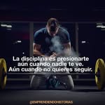 Leonardo Hernandez Tiger - @tiger_leonardo - Instagram
