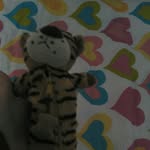 @william_leonard_the_tiger - Instagram