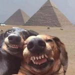Trần Trí Thành - @leonard_tran_ - Instagram