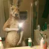 Leonard Villa - @leonard.villa3 - TikTok