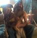 Leonard Vogt - Facebook