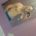 Leonard Weeks - Facebook