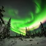 Leonard Weese - @leonardweese - Instagram