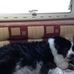 Leonard Wilcox - Facebook