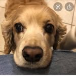 Leonard Wilkinson - @leonard.wilkinson.56 - Instagram