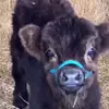 williamleonard637 - @williamleonard637 - TikTok
