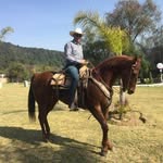Leonardo Albarran Valdez - @robert._albarran - Instagram
