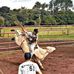 Leonardo Amaral - Facebook