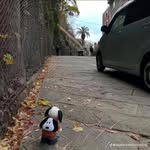 Leonardo Antonio - @ares_leonidas12 - Instagram