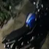 Leozin - @leonardoaugusto2018 - TikTok