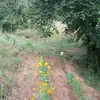Leonardo Avendano - @leonardo.avendano6 - TikTok